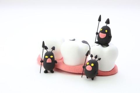 歯周病　虫歯　歯